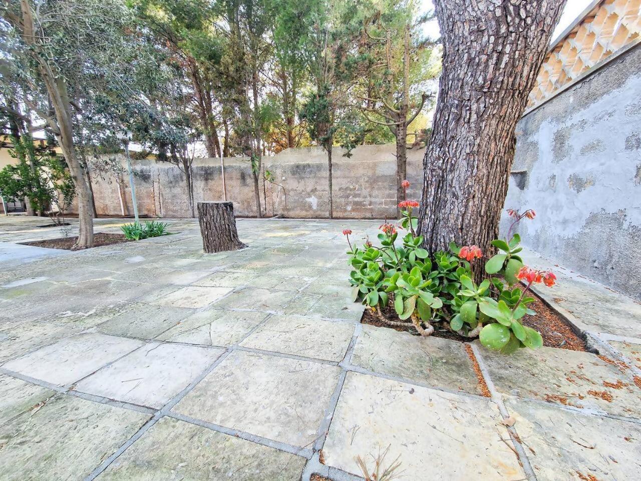 Villa Turchese Santisidoro Nordsudcasavacanza Torre Squillace Екстер'єр фото